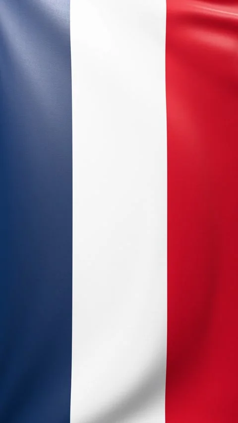 France flag Stock Footage 302740629
