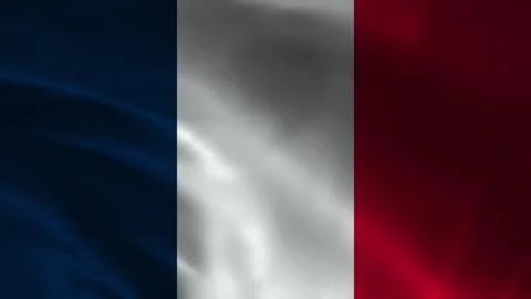France Flag Stock Footage 336903544