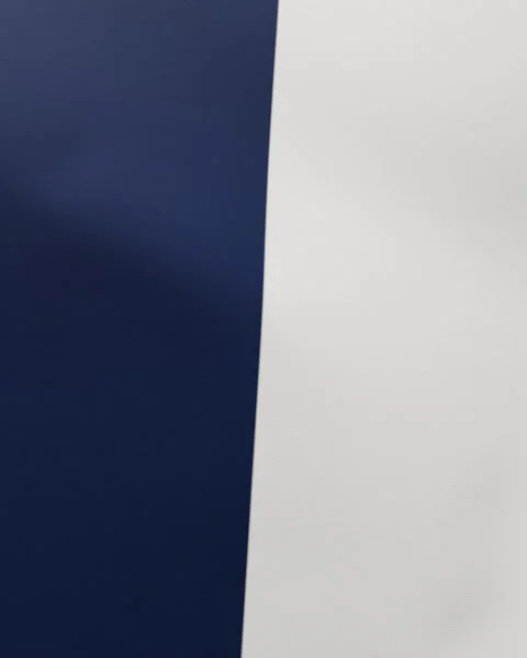 France flag on green screen Stock Footage 331670725