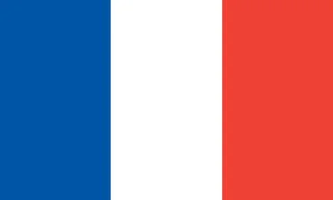 France flag Illustrazione stock