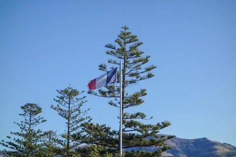 France flag Foto stock
