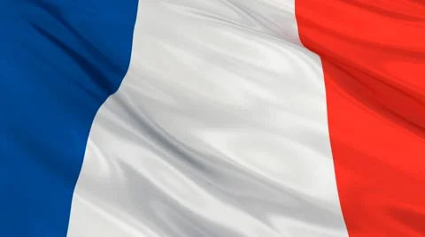 France FLAG Seamless Stock Footage 48644059