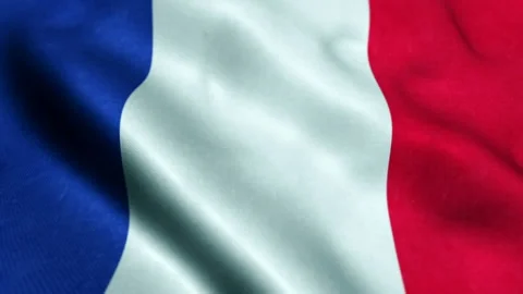 France flag - Seamless looping Video stock 219006480