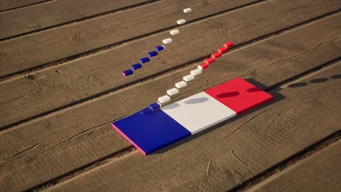 France Flag - Slow Motion Stock Footage 318769387