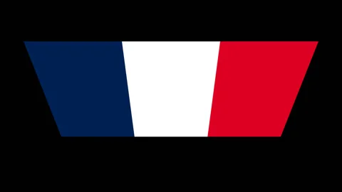 France flag turning vertically Stock Footage 88388144