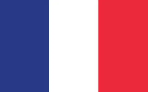 France flag vector graphic. Rectangle French flag illustration. France countr Illustrazione stock