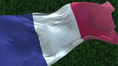 France flag - Waving flag on matrix binary code background Stock Footage 321421158