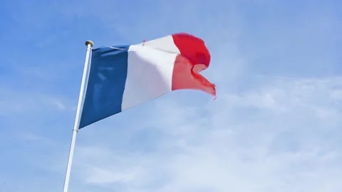 France flag in the wind Video stock 171329401