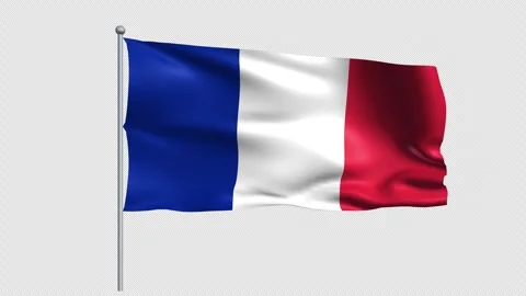 France Flags - Pack 1 Stock Footage 338411140