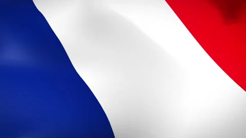 France Flags - Pack 2 Stock Footage 338411097