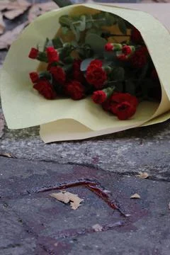 France Paris Attacks - Nov 2015 Stock Photos