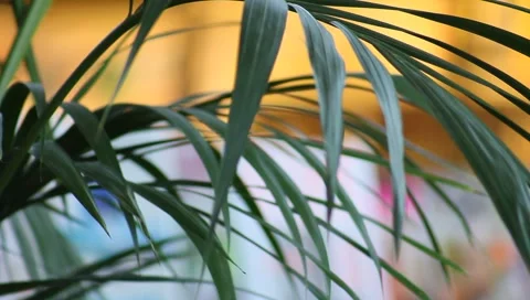 France Paris Stock Footage 2874595