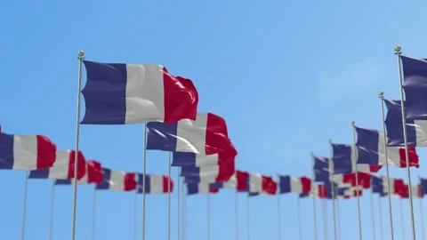 France Row Of Flags 3D Animation Stock-Footage 148676902