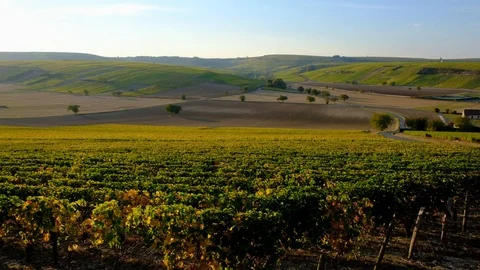 France - Sancerre Stock Footage 96920205