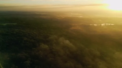 France Sologne forest and clouds during sunset Stock-Footage 233282444