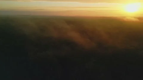 France Sologne forest clouds and sunset Stock Footage 233280201
