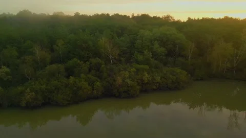 France Sologne lake and forest during sunset Stock Footage 233281953