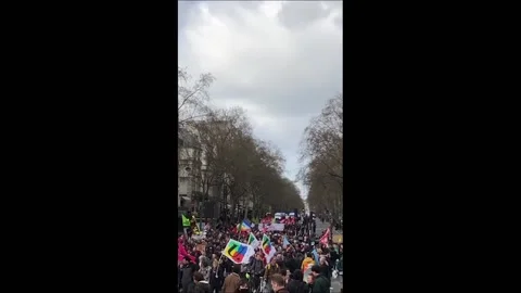 France: Thousands Join Protest March In Paris Against New Immigration Bill Stock Footage 236930125