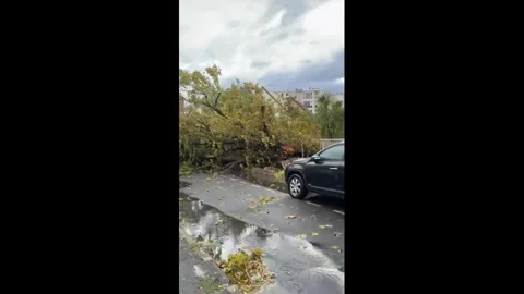 France: Violent Storms Batter Paris Region, Leaving Damage 3 Stock Footage 343852114