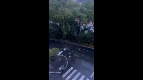 France: Violent Thunderstorm Downs Trees Across Lyon Stock Footage 344079964