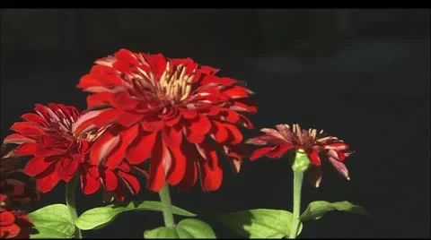 France72 Stock Footage 22641309