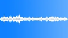 FRANCE,CROWDSound Effect