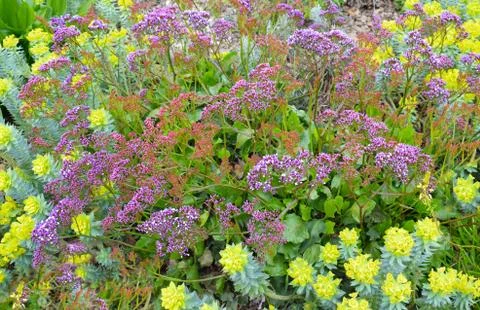 Francesc Macia Park in Malgrat de Mar Barcelona Spain. Stock Photos