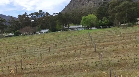 Francshhoek le petit Stockbeeldmateriaal 59657268