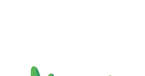 Frane Stock Footage 128423393