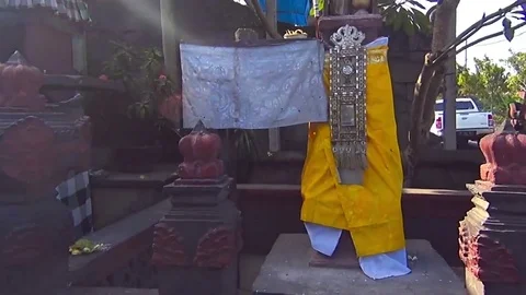 Frangipane flowers at essication Stock Footage 77889699