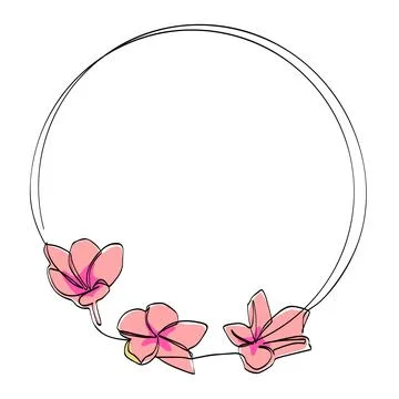 Frangipani and circle frame in simple sketch vector single or continuous line Stock Illustration