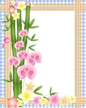 Frangipani border Stock Illustration