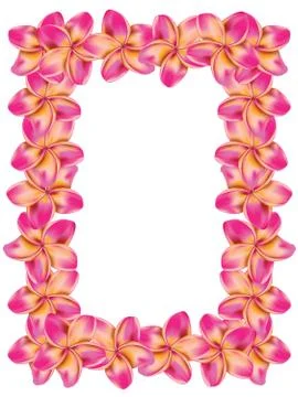Frangipani frame Stock Illustration