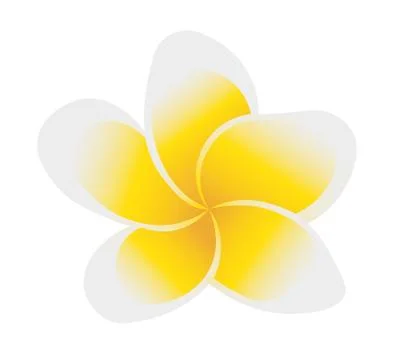 Frangipani Stock Illustration