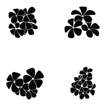 Frangipani silhouette Illustrazione stock