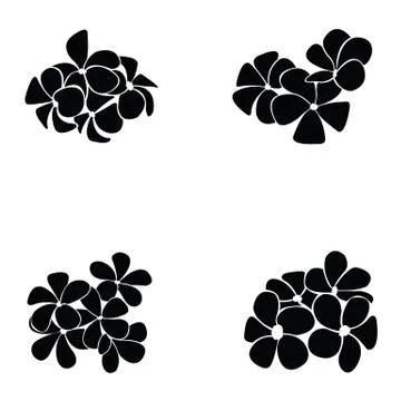 Frangipani silhouette Stock Illustration