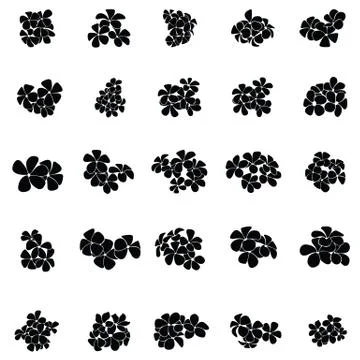 Frangipani silhouette Stock Illustration