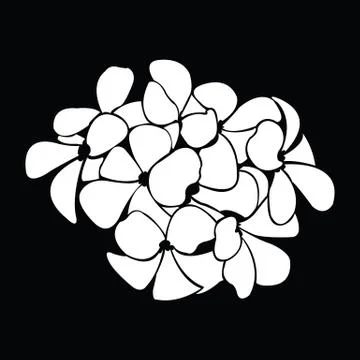 Frangipani silhouettes for design vector Stock Illustration
