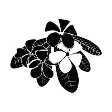 Frangipani silhouettes for design vector Stock Illustration