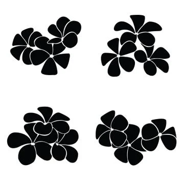 Frangipani silhouettes for design vector Stock Illustration