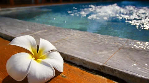 Frangipani on water waves Stock-Footage 49687626