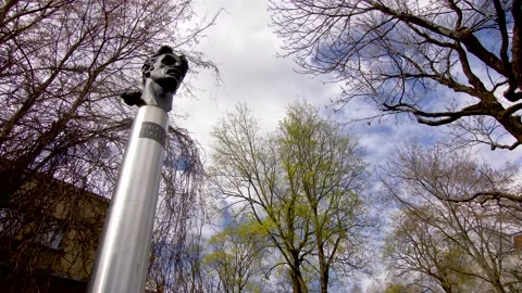 Frank Zappa memorial Stock Footage 157092637