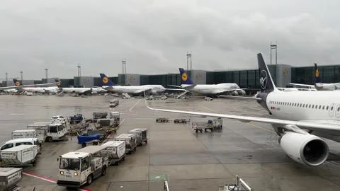 Frankfurt: Lufthansa passenger planes on the apron at Terminal 1, 4K Stock Footage 248291671