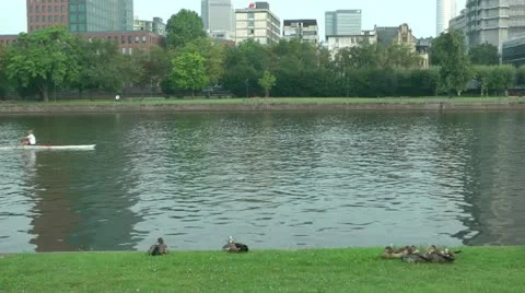 Frankfurt Rowing Stock Footage 12250411
