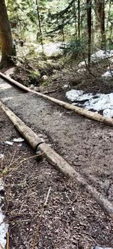 The Franklin Falls trail in springtime Stock Photos