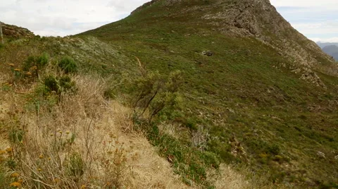 Franschoek Valley 3 Video stock 58959681