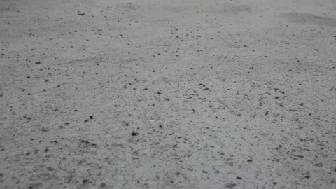 Frantic movement of flying ants before rain Stock Footage 247470177