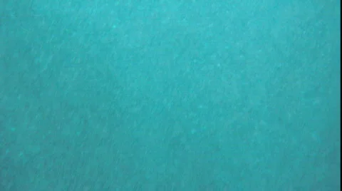 Franticbubbles Stock Footage 773970