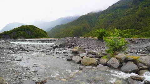 Franz Josef Glacier Vídeo Stock 85492373
