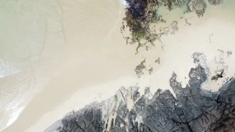 Fraser Island 库存影片 213088775